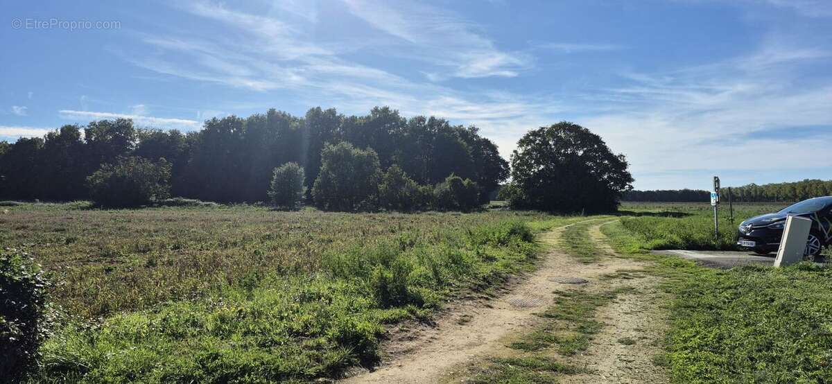 Terrain à PISANY
