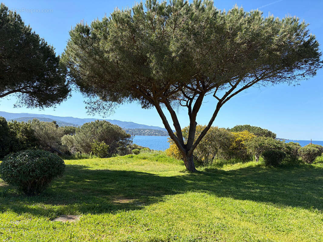 T2 à vendre vue mer à Porticcio - Résidence avec piscine et tennis - photo 11