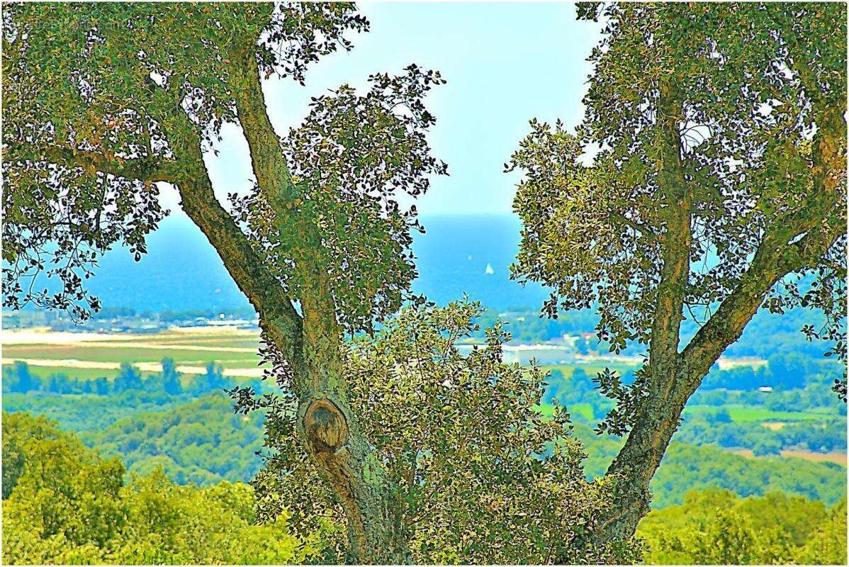 Maison à BASTELICACCIA