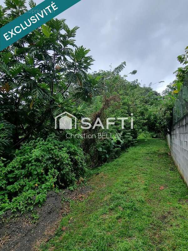 Photo 3 - Terrain à LE LAMENTIN