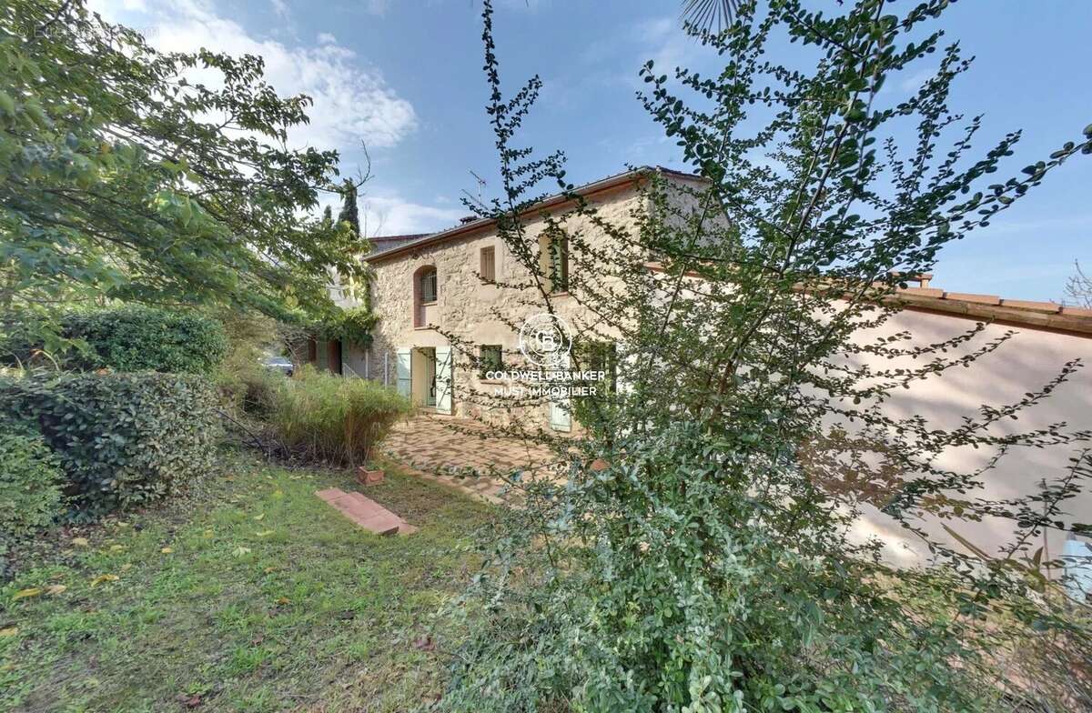 MAS de 295m2 Céret  vue Canigou sur près de 4 Ha - photo 5