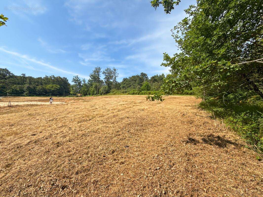 Terrain à NOTRE-DAME-DE-SANILHAC