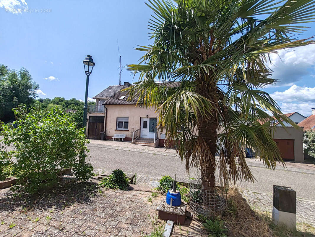 Maison à GROS-REDERCHING