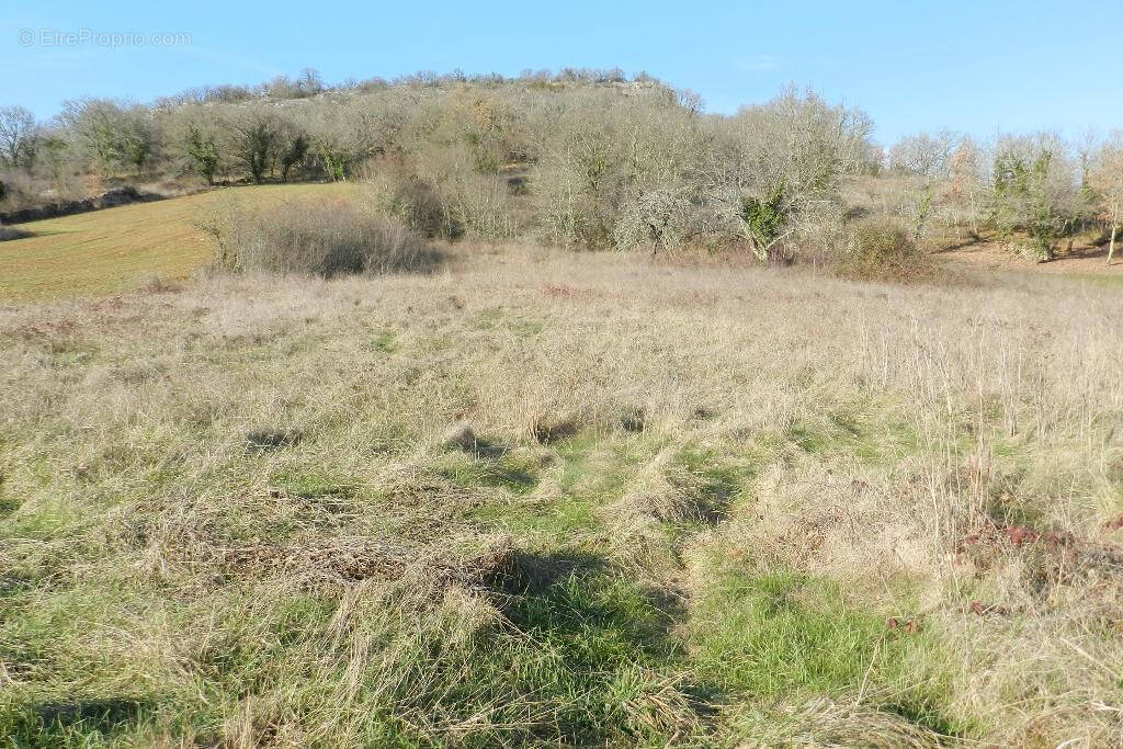 Terrain à BRENGUES
