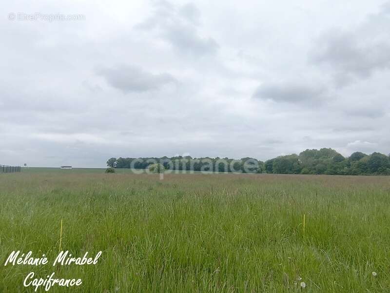 Terrain à COURDEMANCHE