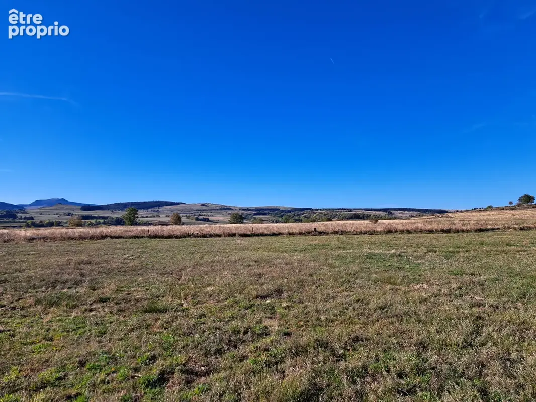 Ancienne petite chaumière au toit de lauzes sur 6000 m2 de terrain - photo 29