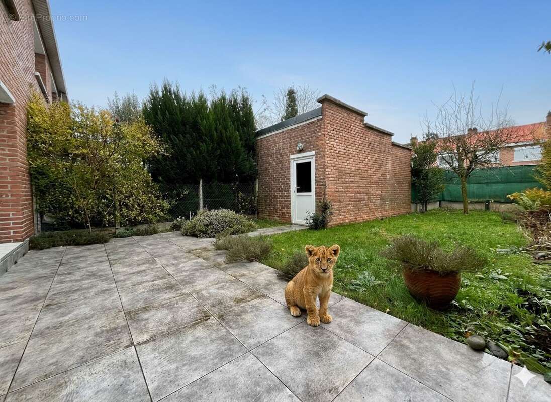 Maison à LAMBERSART