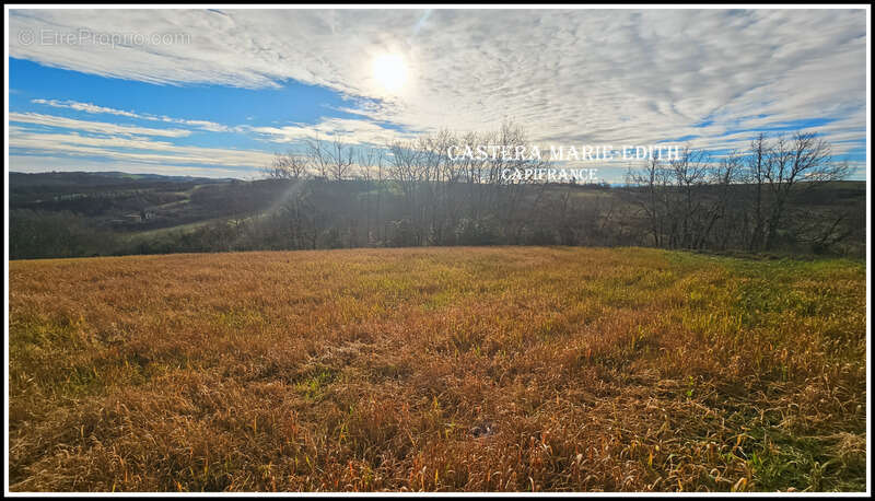 Terrain  à vendre  pessan (32) - photo 7