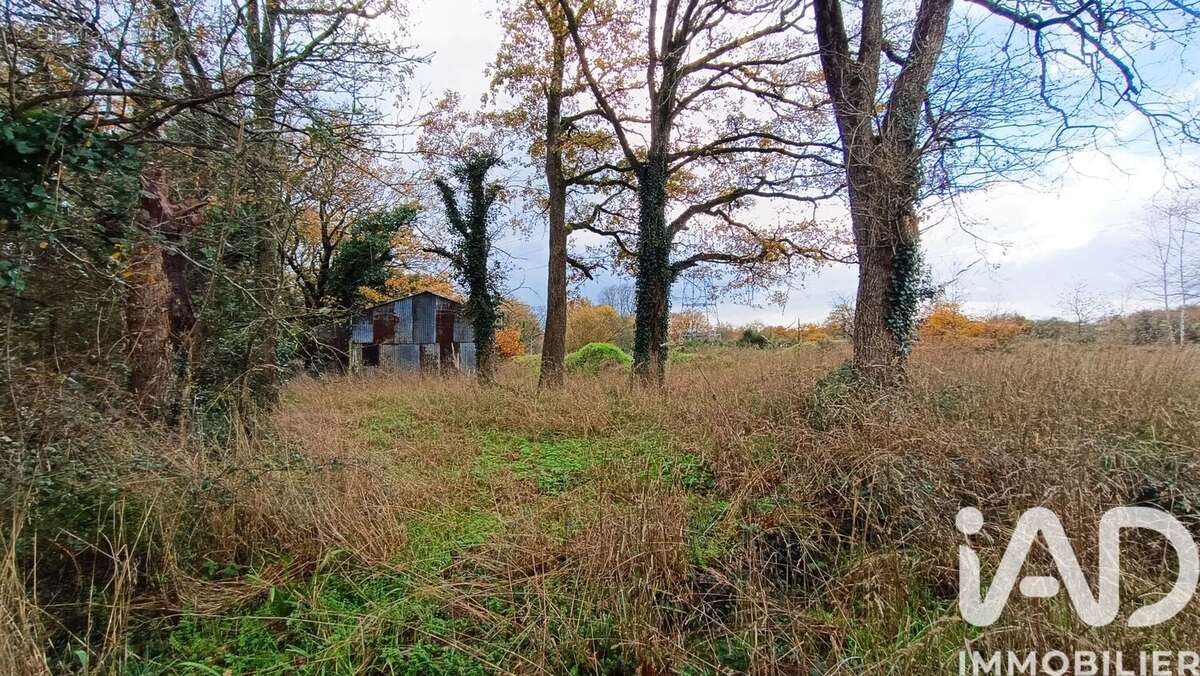Photo 4 - Terrain à LES SORINIERES