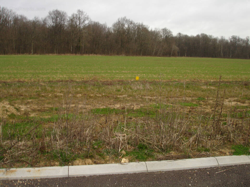 Terrain à LONGUEVILLE