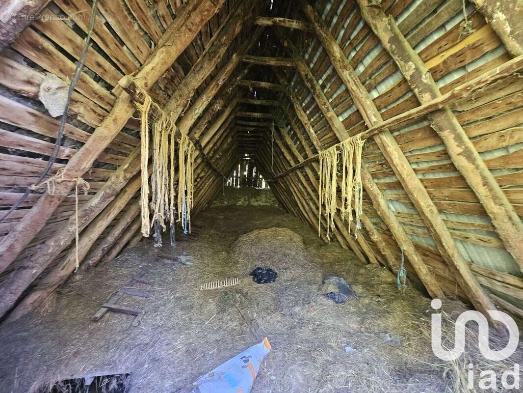 Photo 3 - Maison à ARRENS-MARSOUS