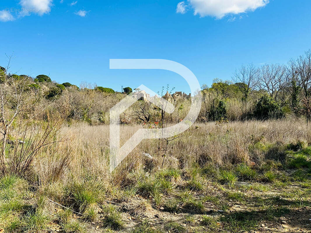 Terrain à ILLE-SUR-TET