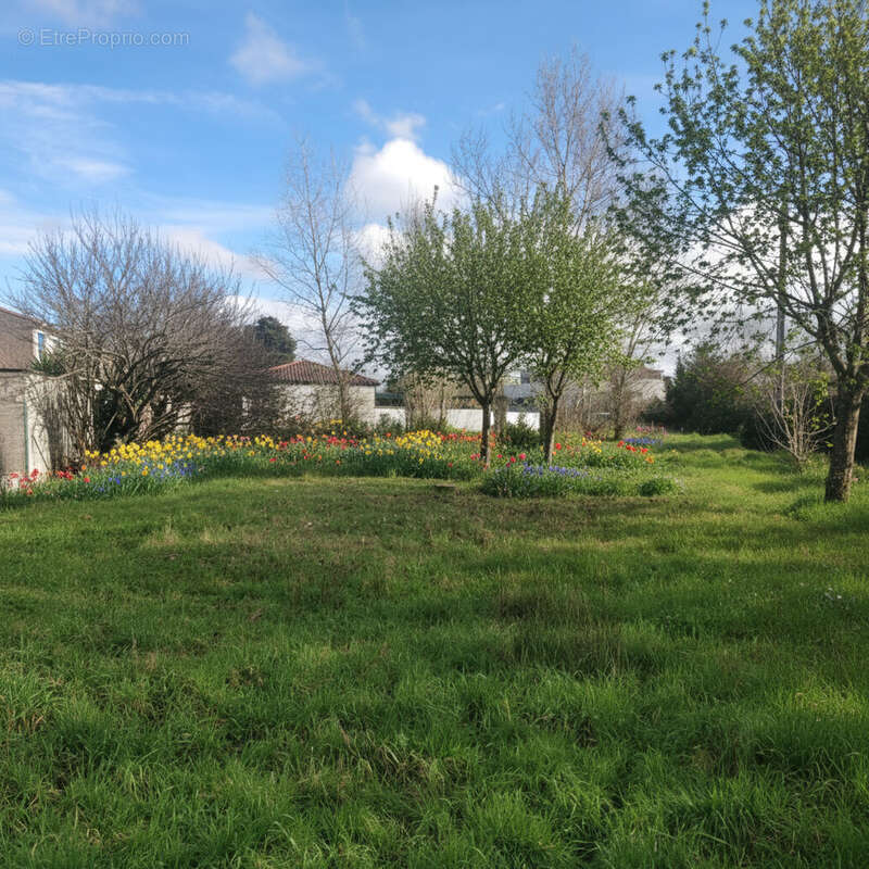 Terrain à TOULOUSE