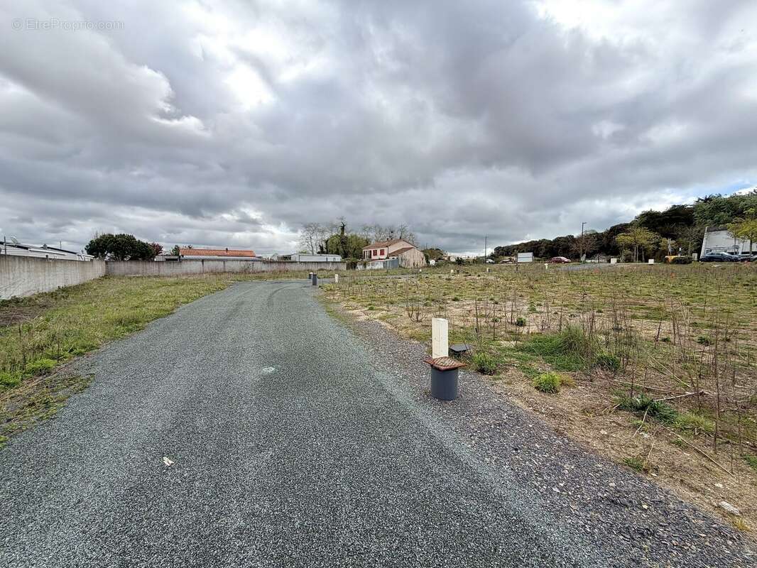 Terrain à SAINT-HILAIRE-DE-RIEZ