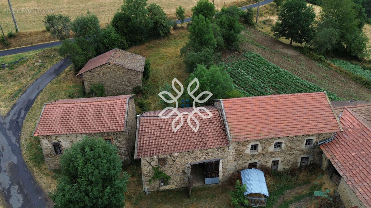 Grange sur 882 m2 de terrain à Saint-Vert - photo 11