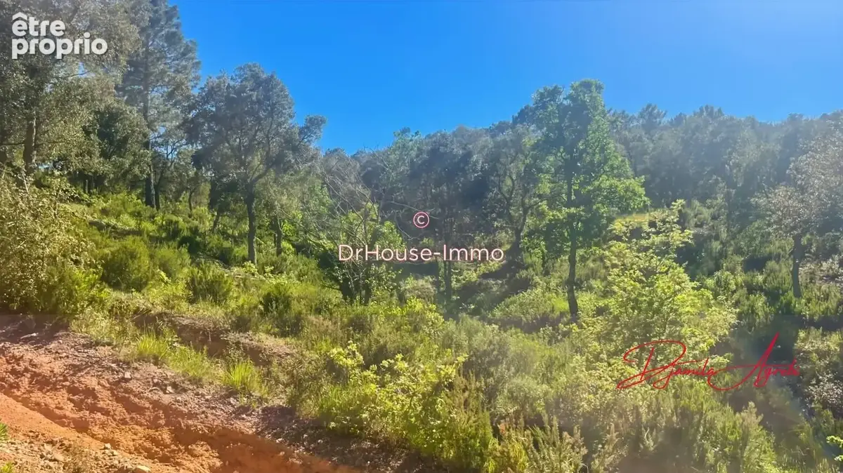 Terrain 70 000 m² à vendre à Sainte-Maxime (83120) - photo 18