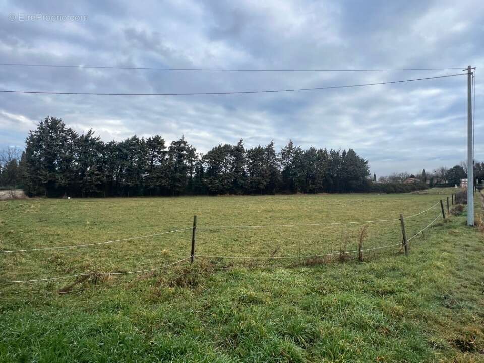 Terrain à MALLEMORT