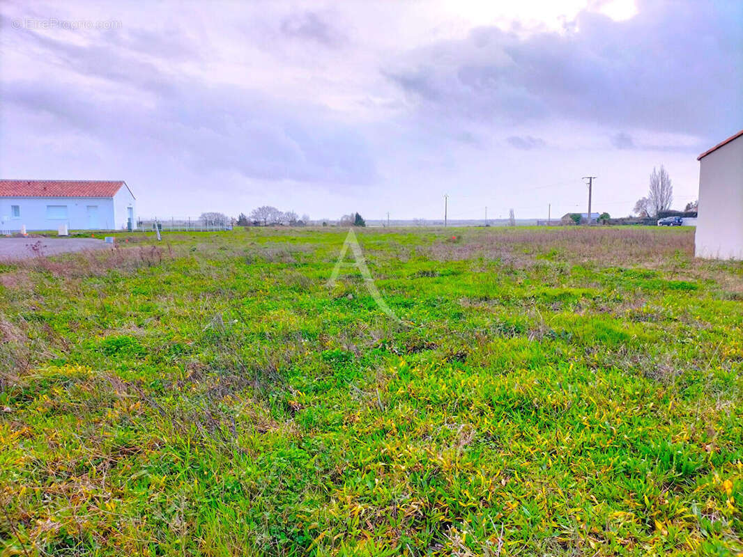 Terrain à BEAUVOIR-SUR-MER