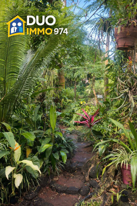 Maison à SAINT-PHILIPPE