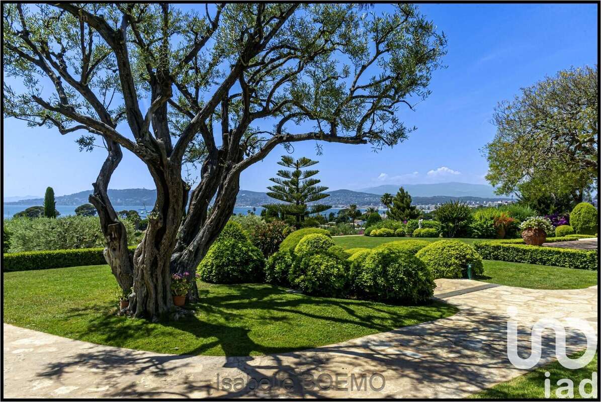 Photo 4 - Maison à ANTIBES
