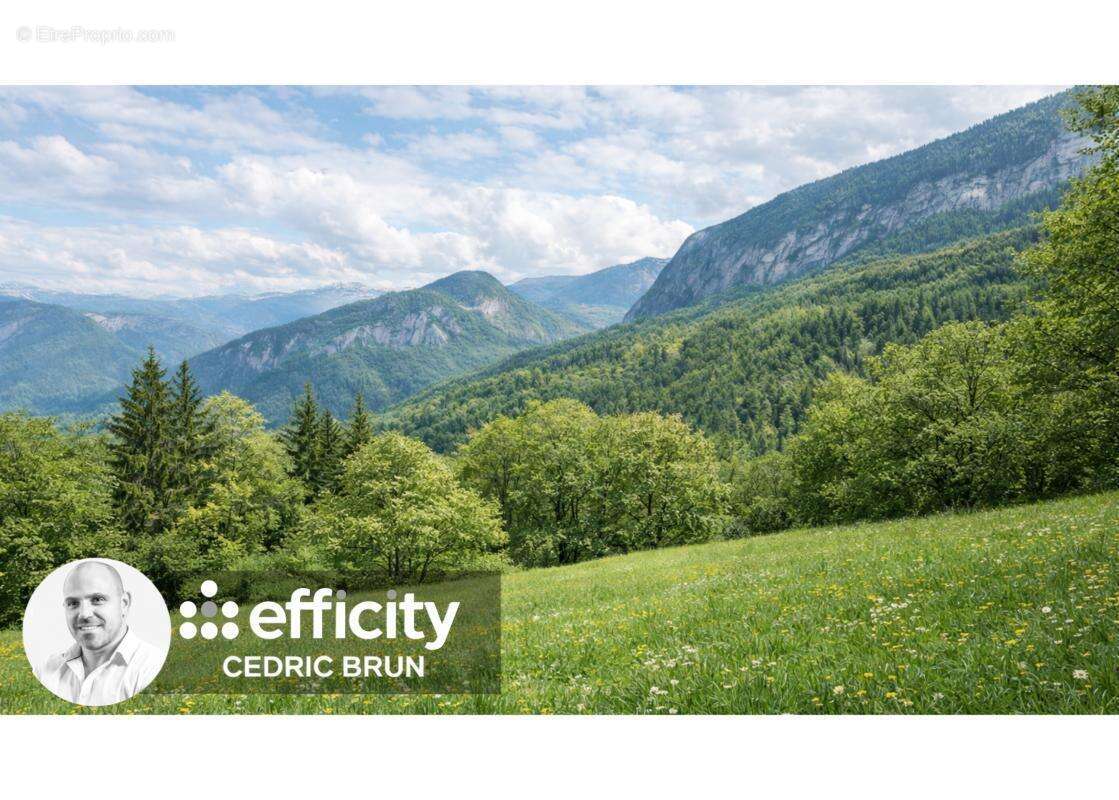 Terrain à MONT-SAXONNEX