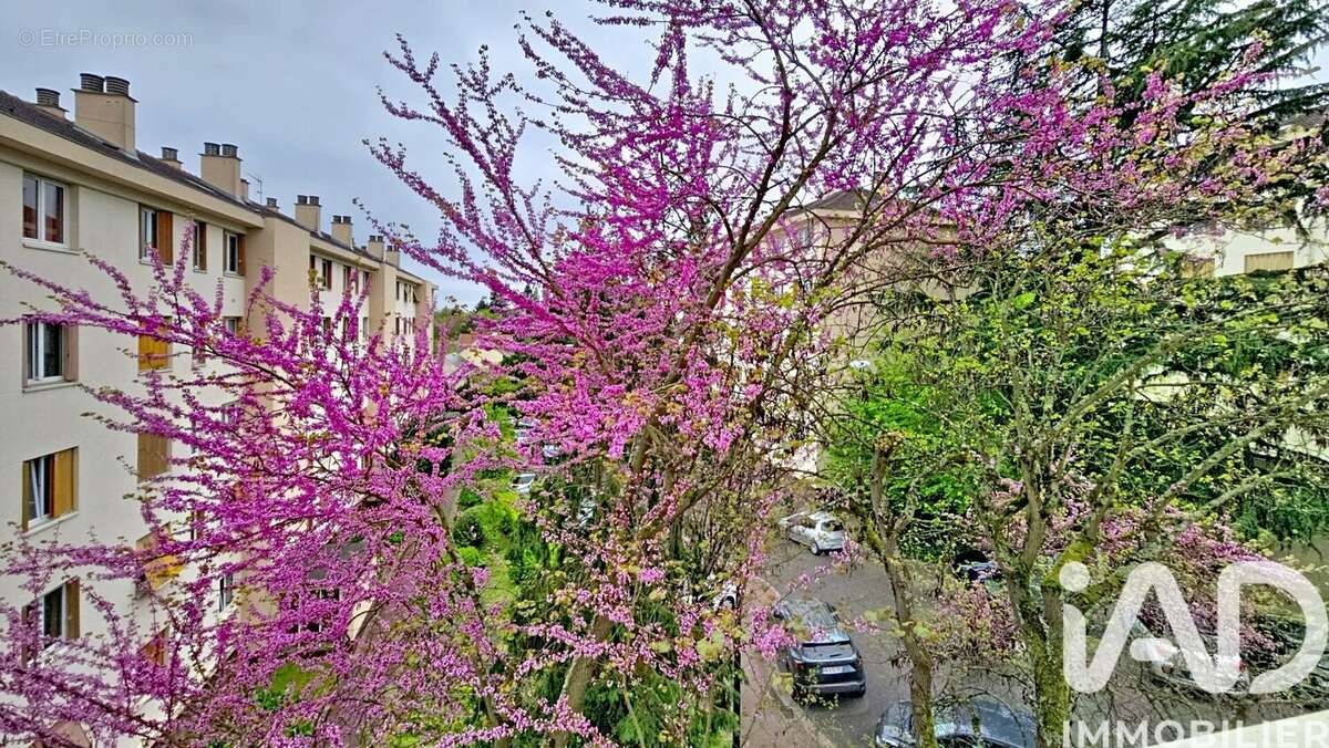 Photo 4 - Appartement à LE PLESSIS-ROBINSON