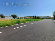 Terrain à SAINT-JEAN-DU-FALGA