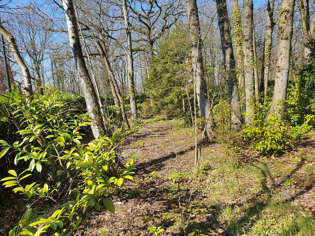 Terrain à LA CELLE-SAINT-CLOUD
