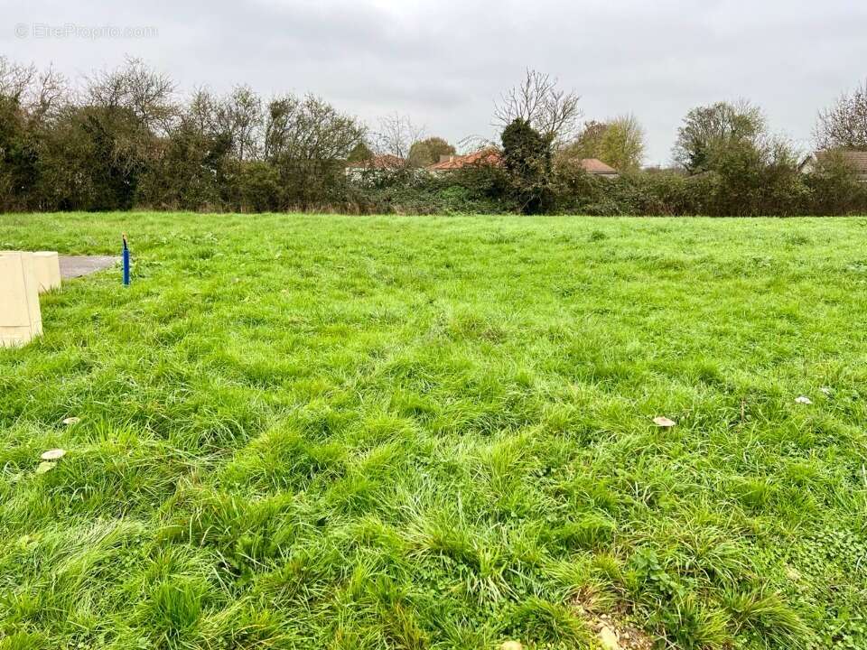 Terrain à CRAS-SUR-REYSSOUZE
