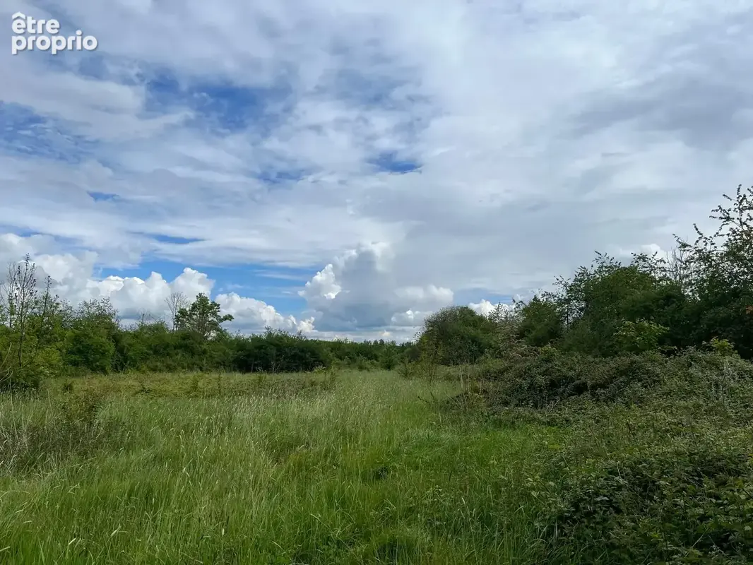 Terrain à LE MELE-SUR-SARTHE