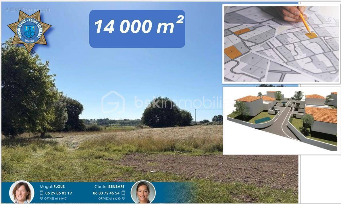 Terrain à SALLES-MONGISCARD