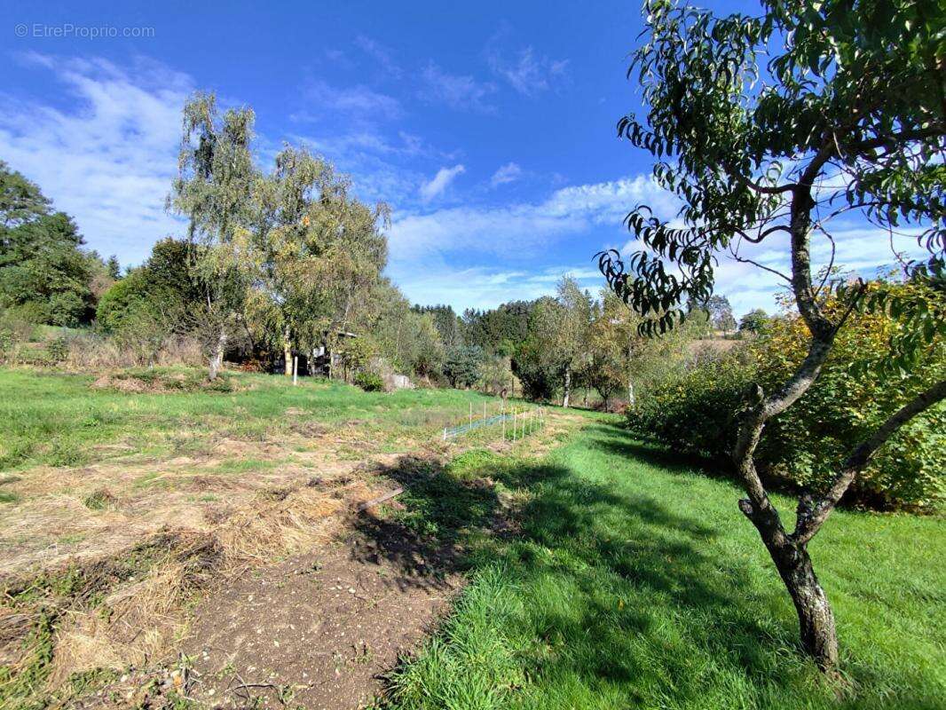 Terrain à LA SEAUVE-SUR-SEMENE