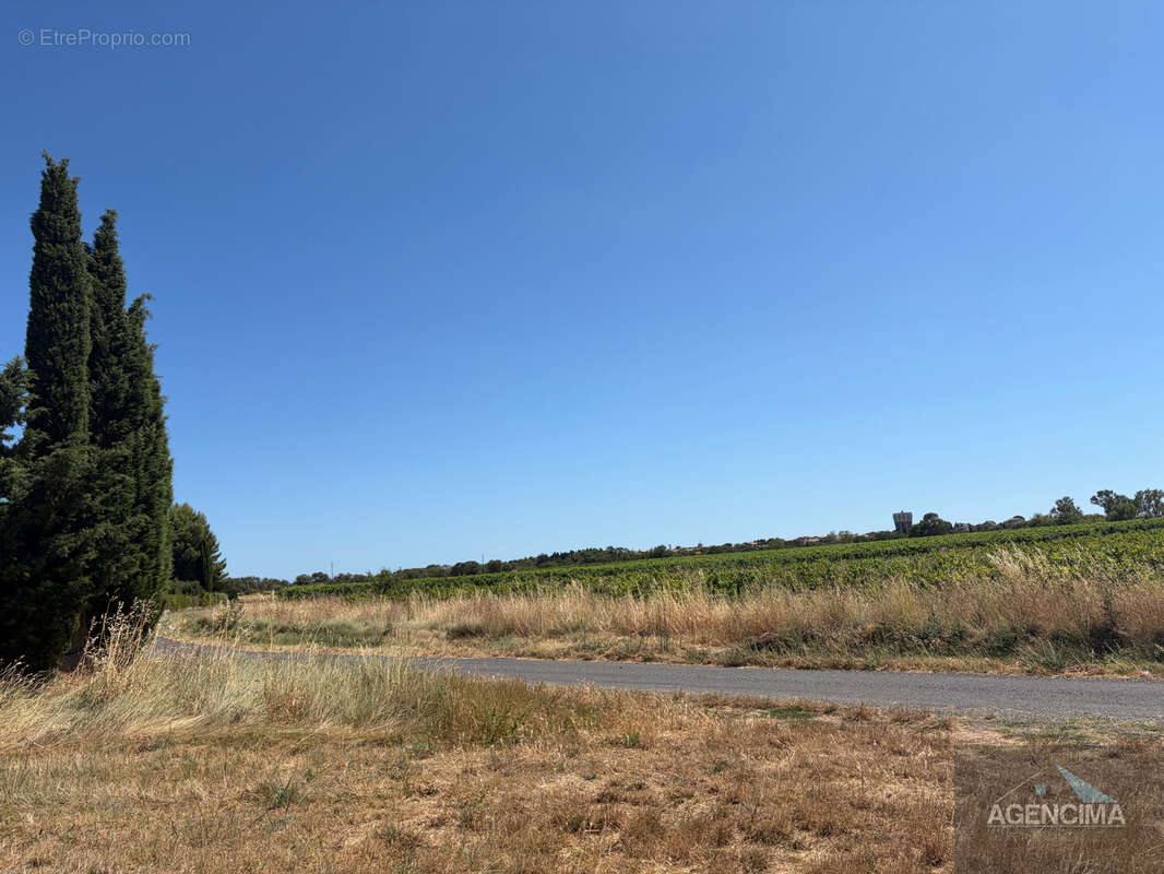 Terrain agricole de 4978m2 - photo 3