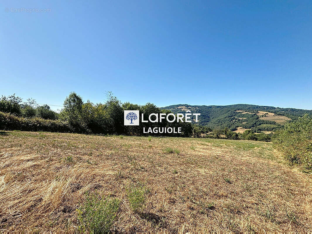 Terrain Castelnau-de-Mandailles 5390 m2 - photo 2