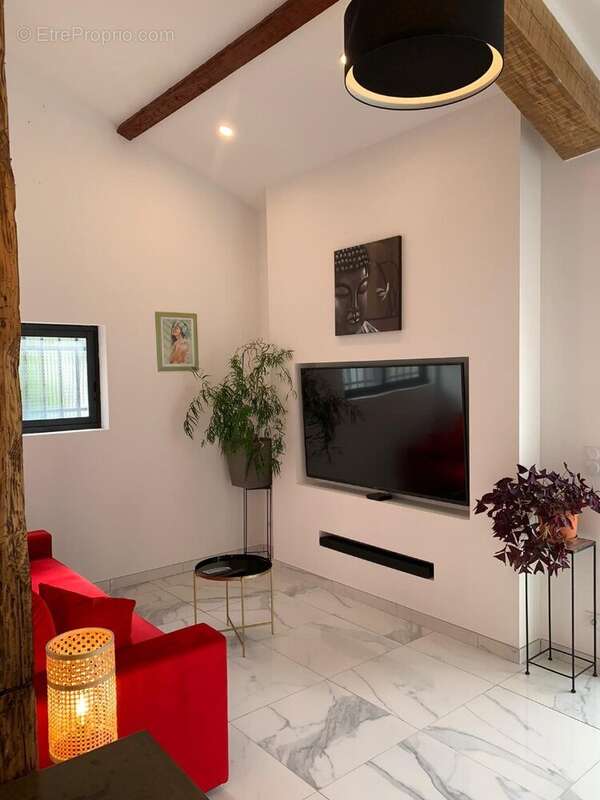 Opportunité Rare à Marseillan : Propriété de Charme avec Activité Commerciale Florissante - photo 6