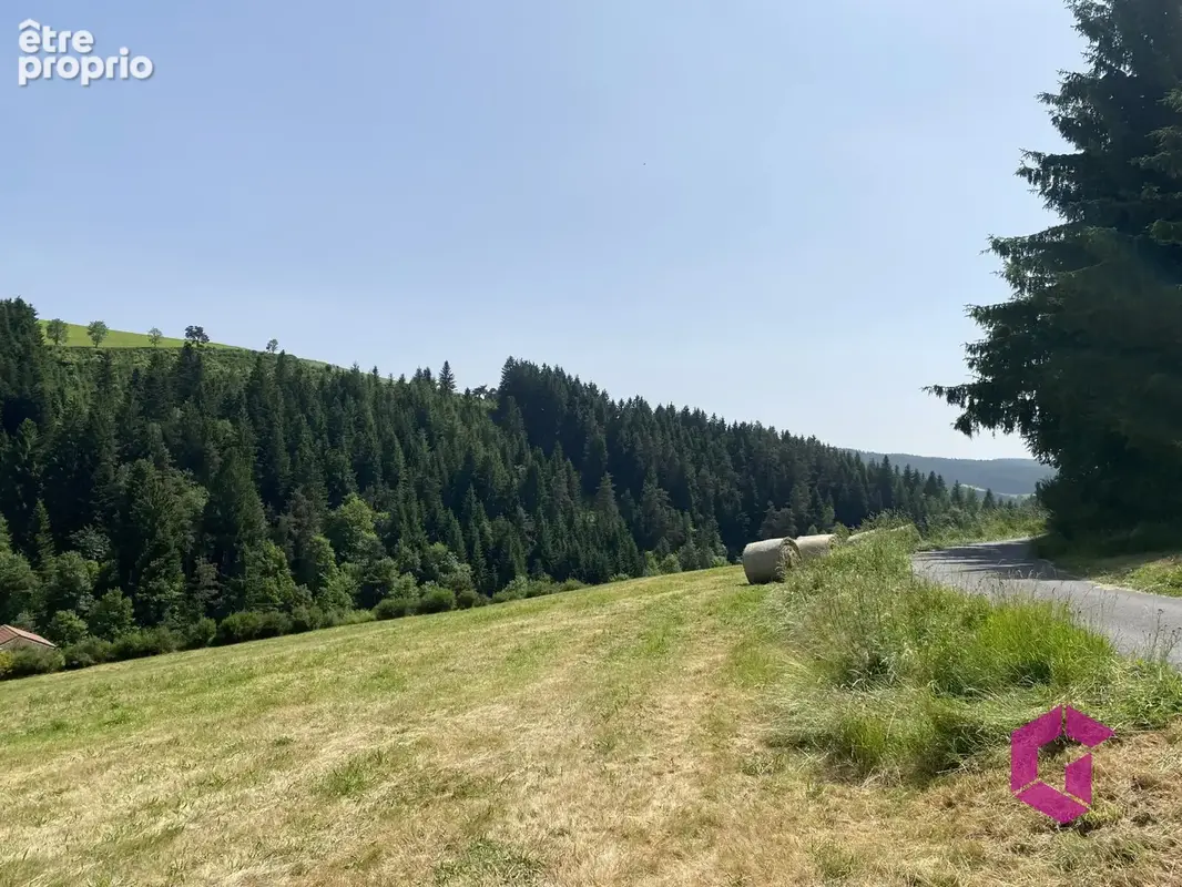Terrain à RIOTORD