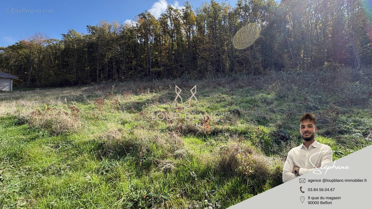 Terrain à BELFORT