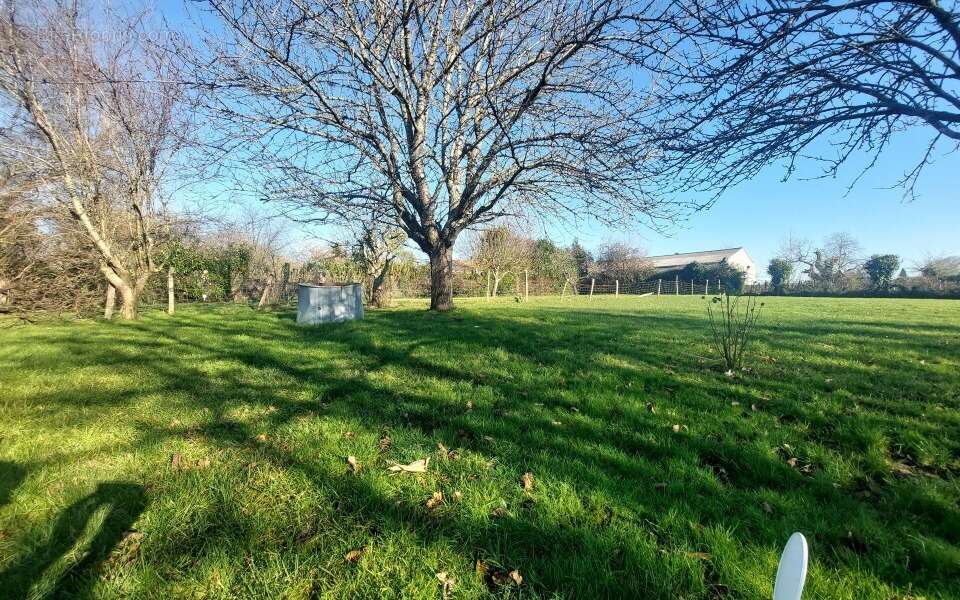 Terrain à SAINT-AGNANT