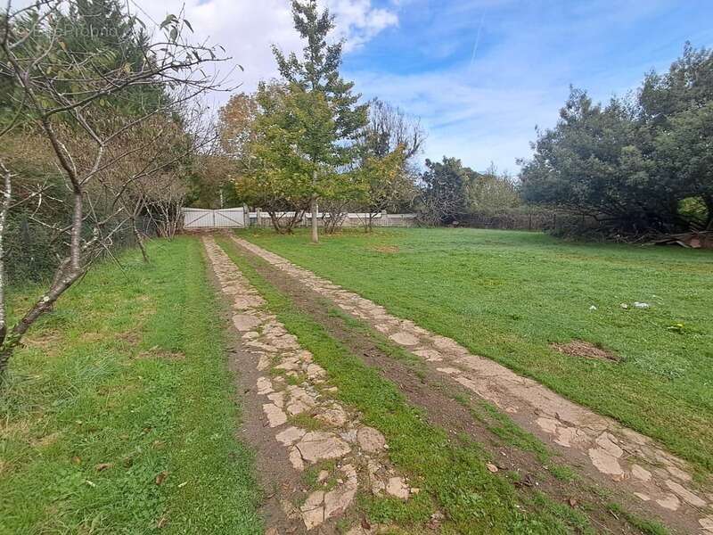 Maison à SAINT-PLANCARD