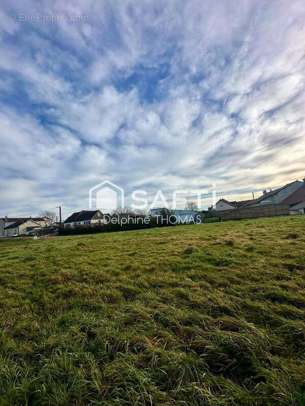 Photo 2 - Terrain à SAULX