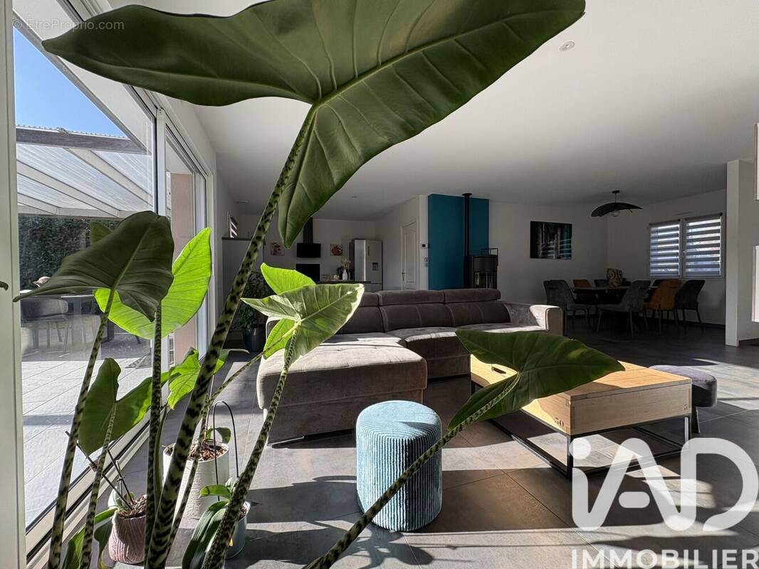 Photo 1 - Maison à CHAUVE