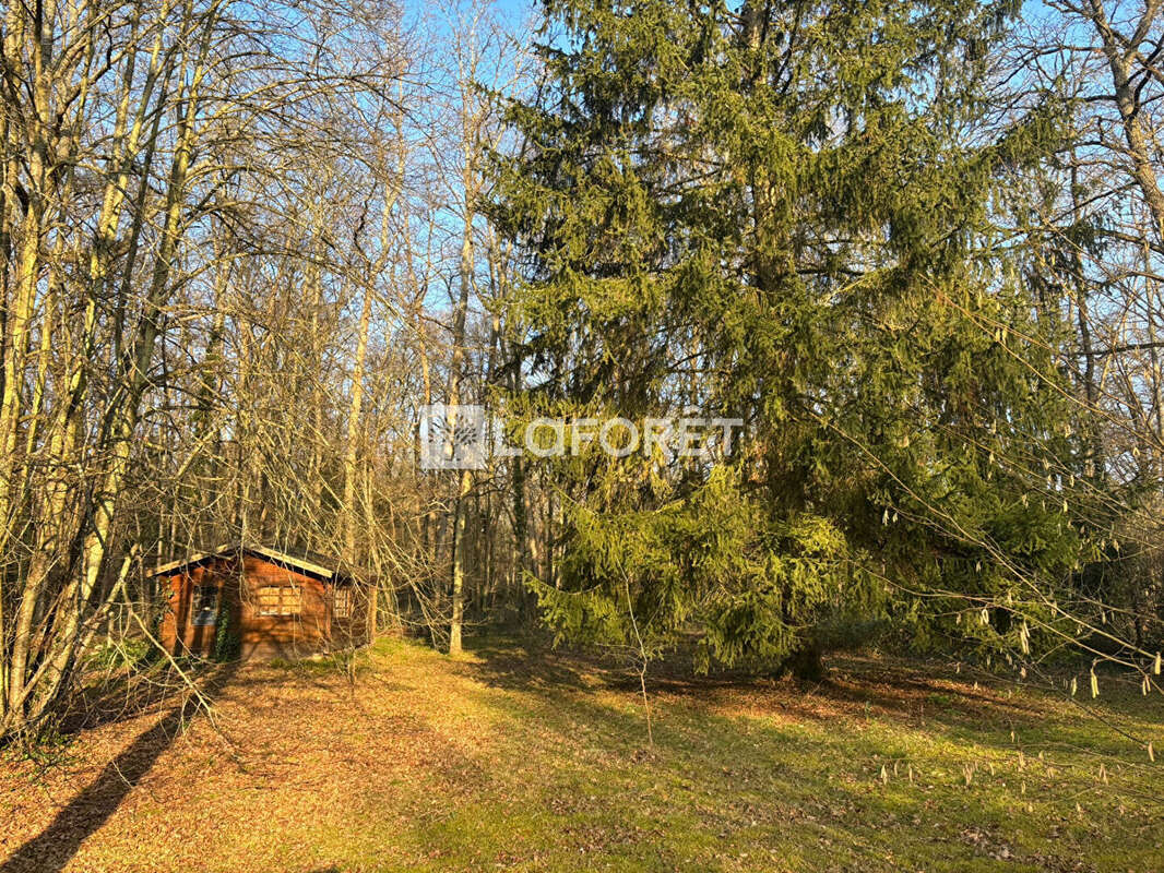 Maison Lamorlaye 6 pièce(s) 164 m2 - photo 11