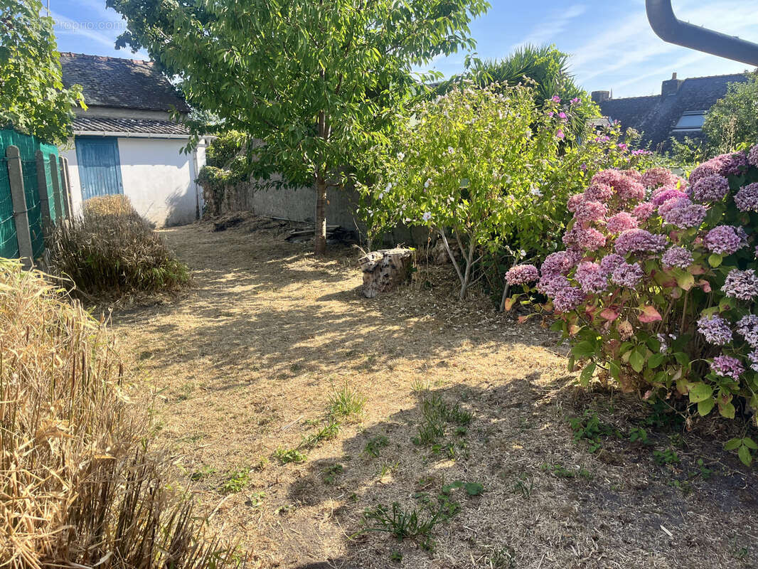 Maison à ILE-D'ARZ