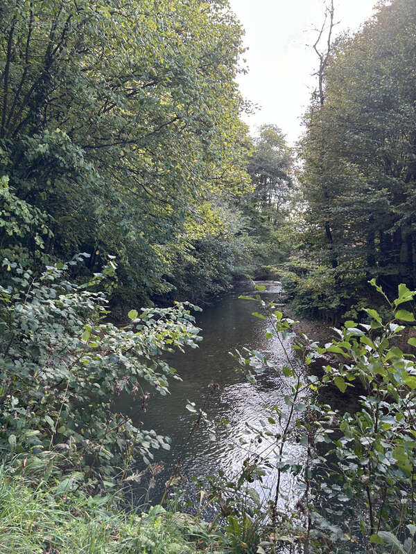 Terrain à RECLINGHEM