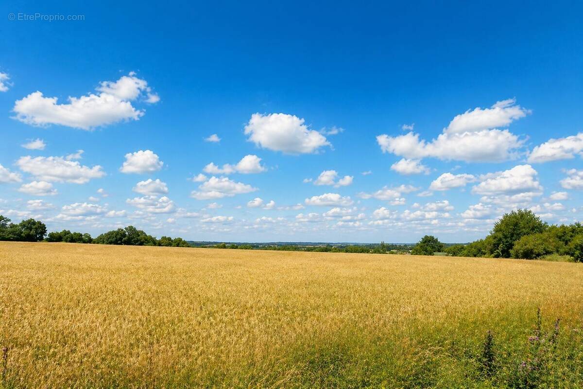 Terrain à PIERRIC