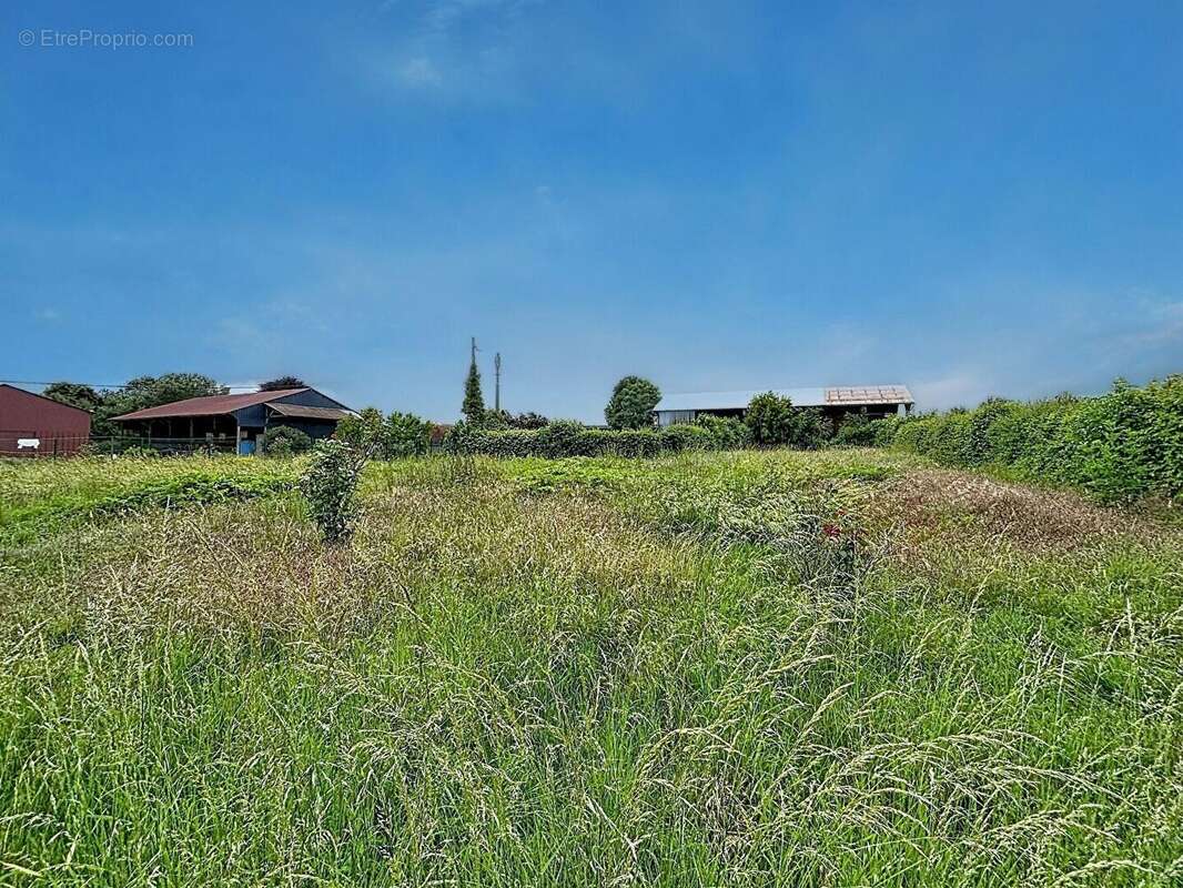 Maison 166m2 - Chaumont-en-vexin - 5 chambres - photo 12