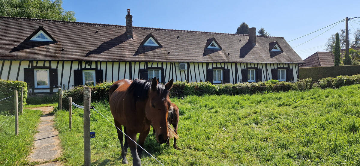 Autre à NEUFCHATEL-EN-BRAY