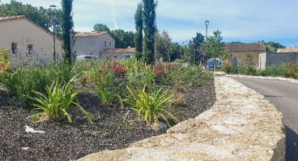 Terrain 294 m² à Mazan  - photo 3
