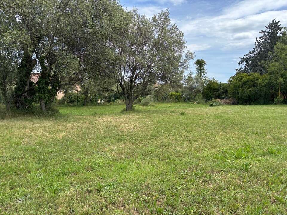 Terrain 1237 m² à Montauroux  - photo 2
