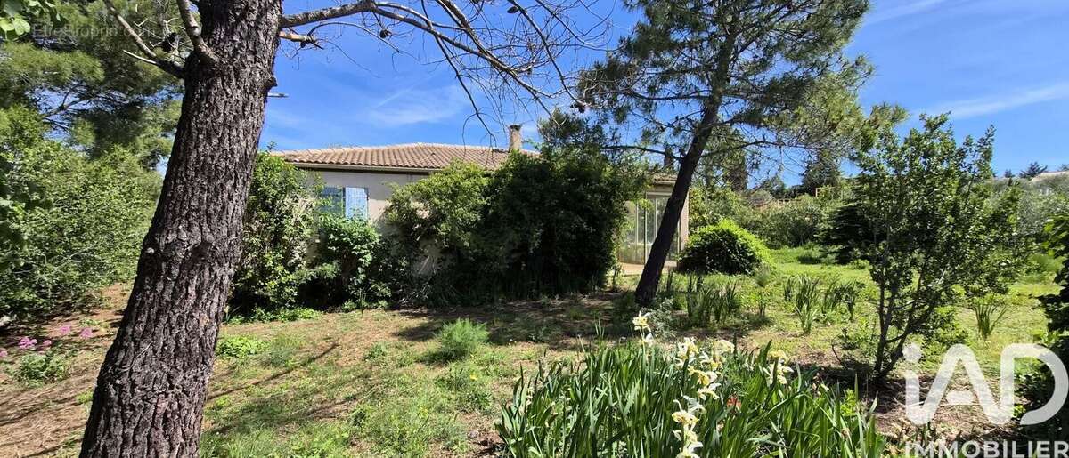 Photo 3 - Maison à THEZAN-DES-CORBIERES